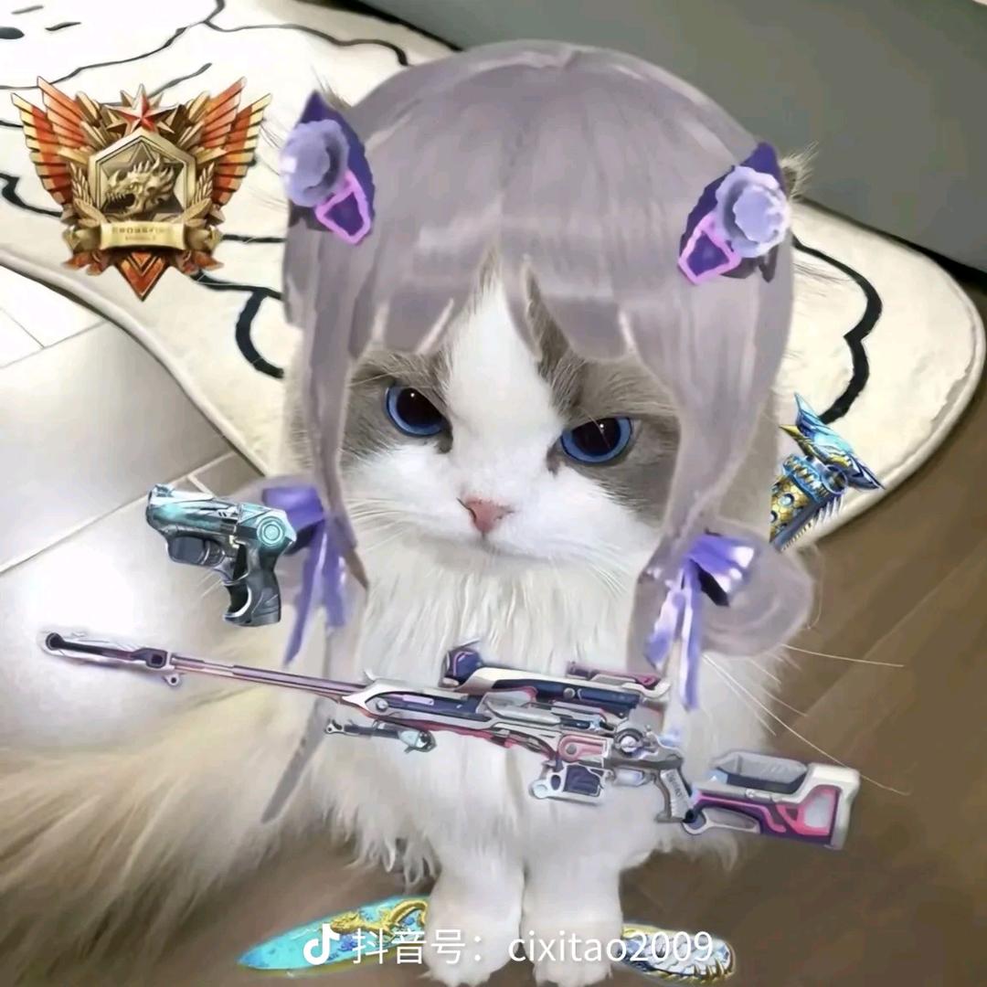 暗区突围一黄土豆