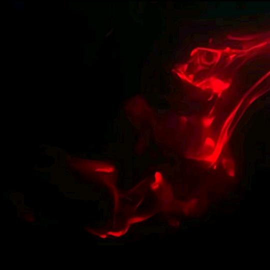 秦彻