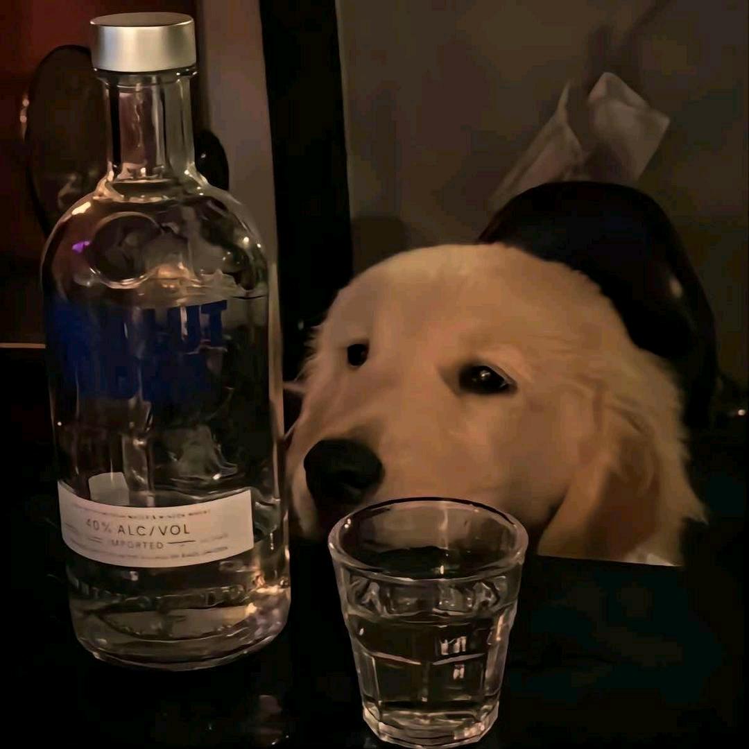 今来思