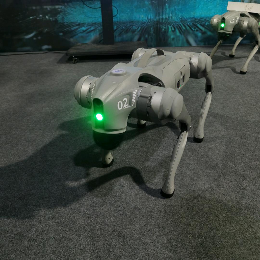 爱弹吉他的小徐