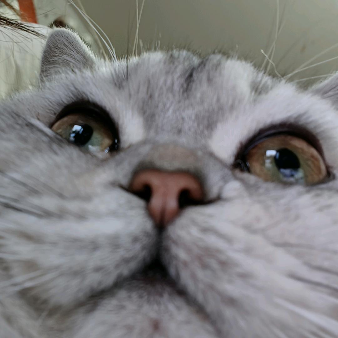 mY