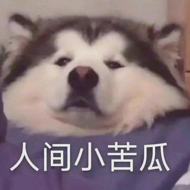 瑶瑶姥爷
