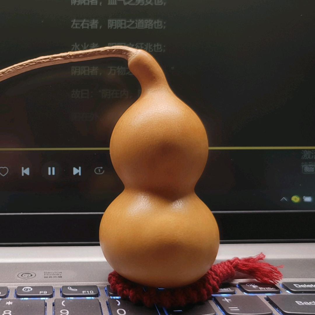 楠棠郡主