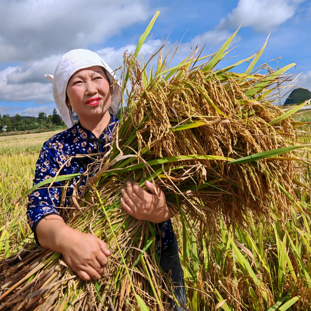 农村四姐早7点（尊师刘二娘）