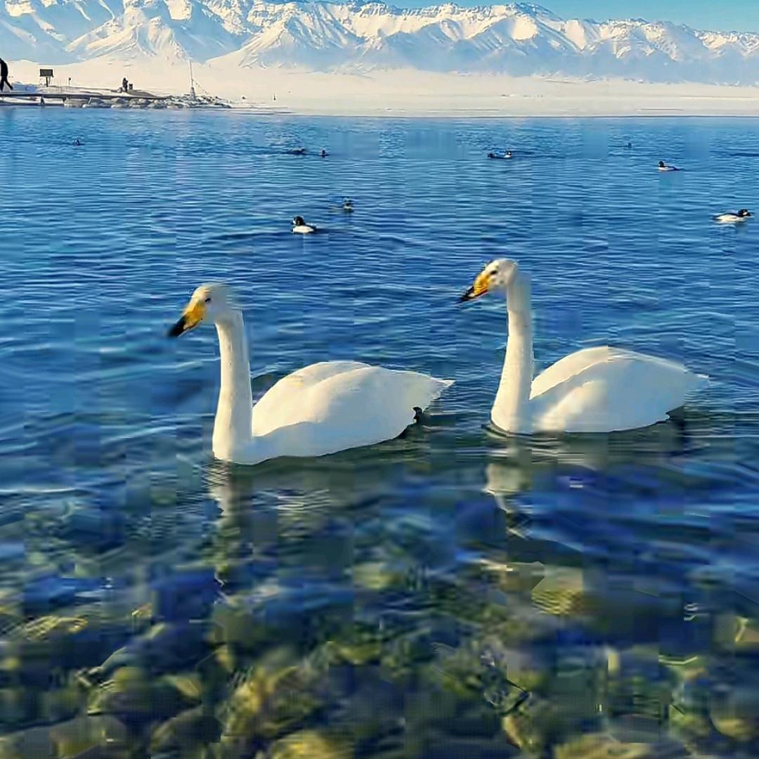 ,,^嘟嘟吖^
