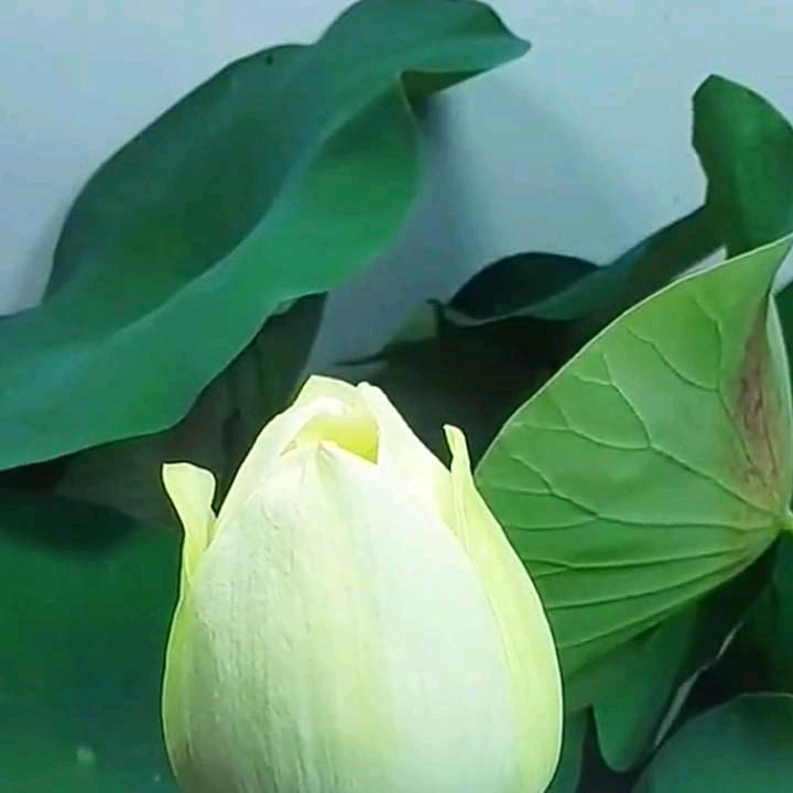 等会
