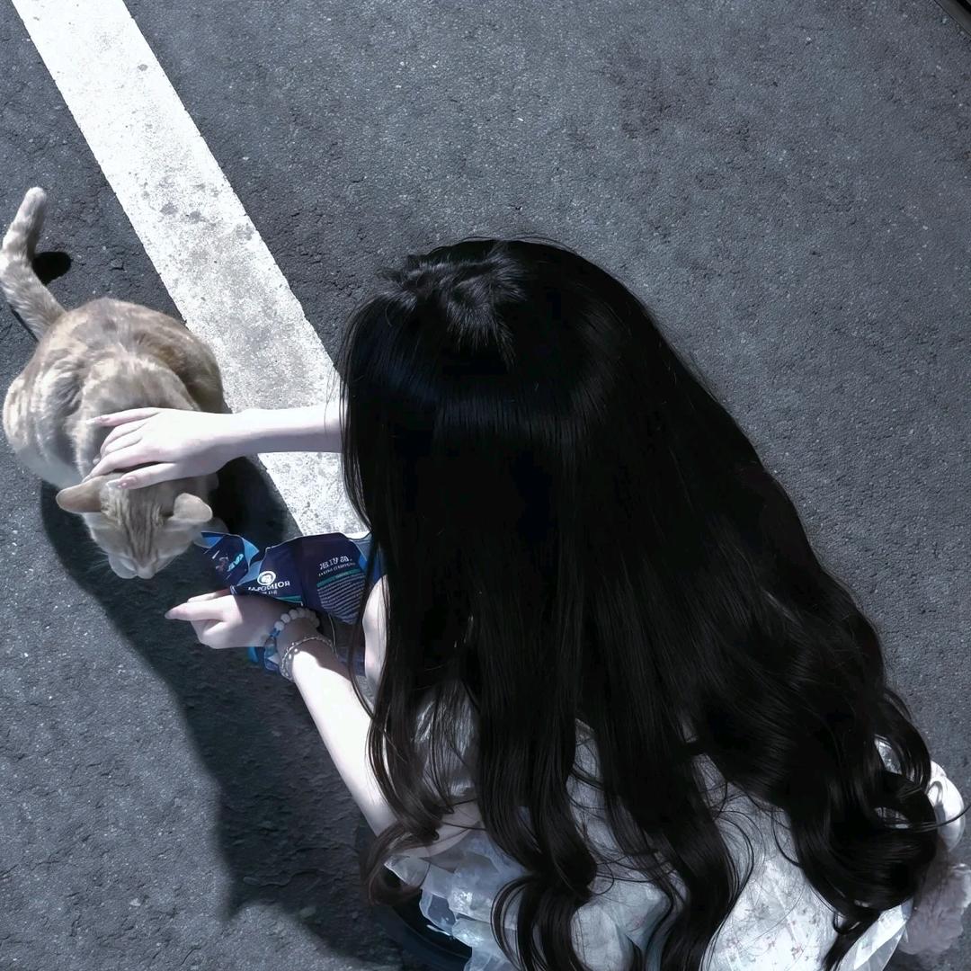 Hoshino(˵¯͒〰¯͒˵)