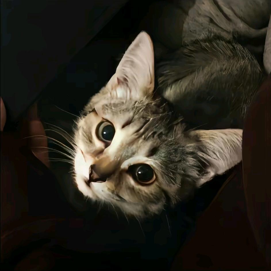 连告别都要双手插兜的男人