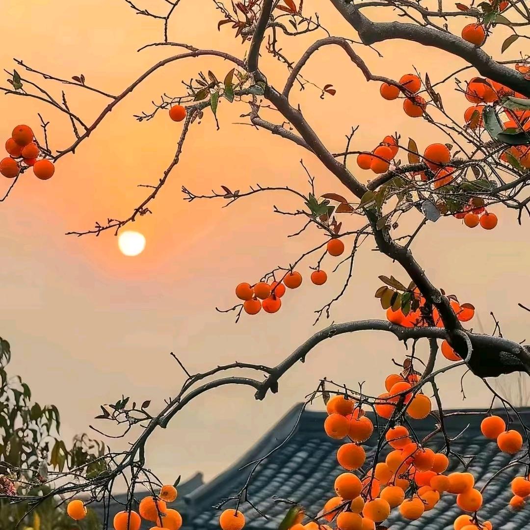 同小号
