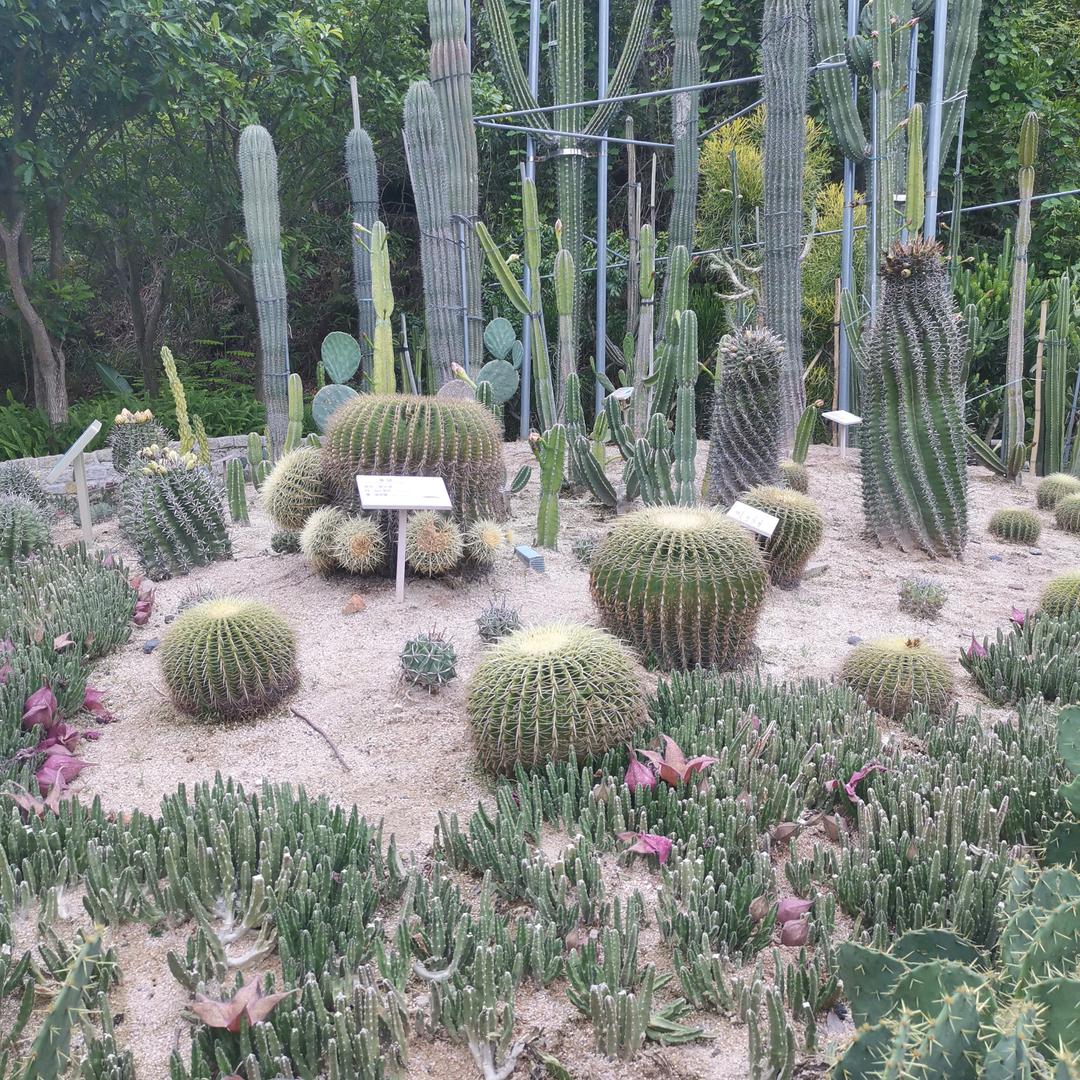 薄暮知秋