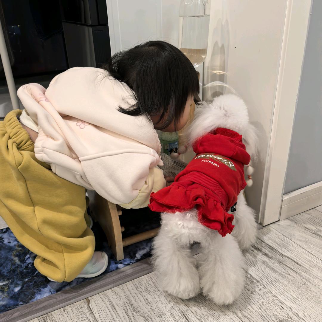 曹西西家的狗子们