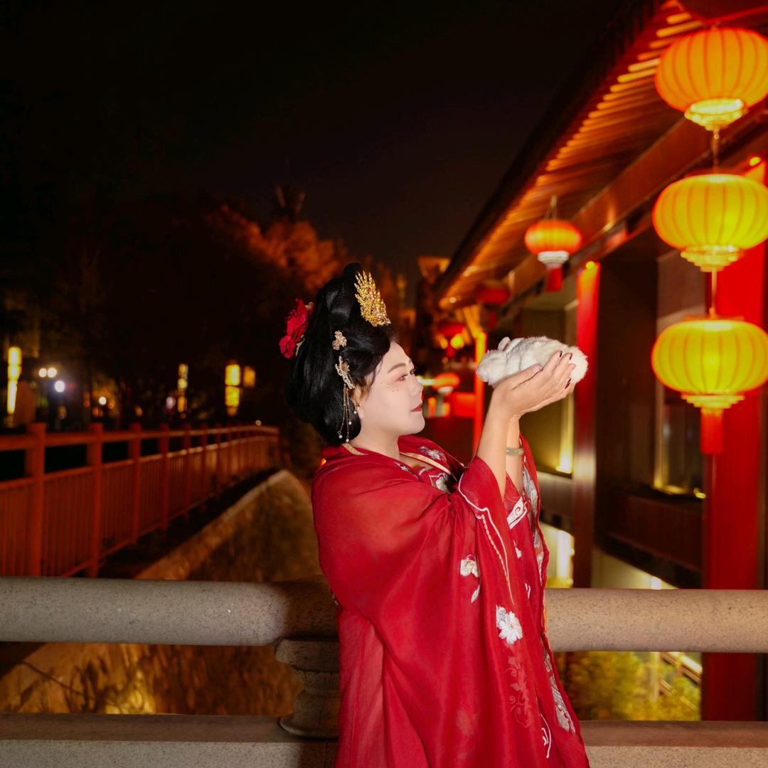 陈心如意