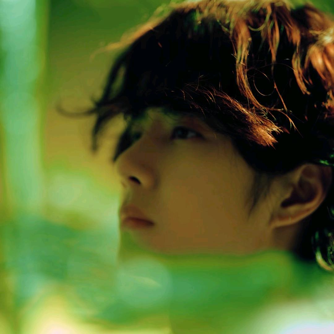 拨雪寻春❤️💚💛