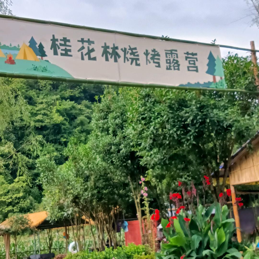 快乐的明天