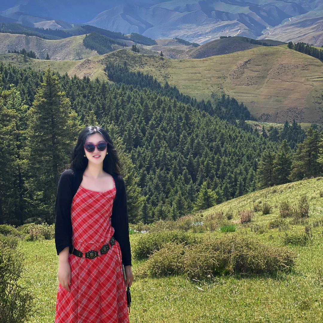 弹古筝的小盆子