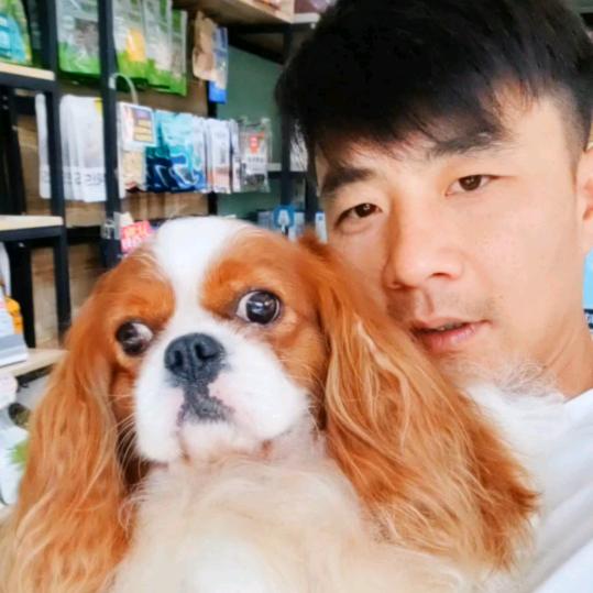 柱子宠物坊