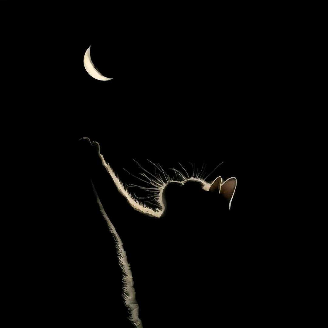 _7.
