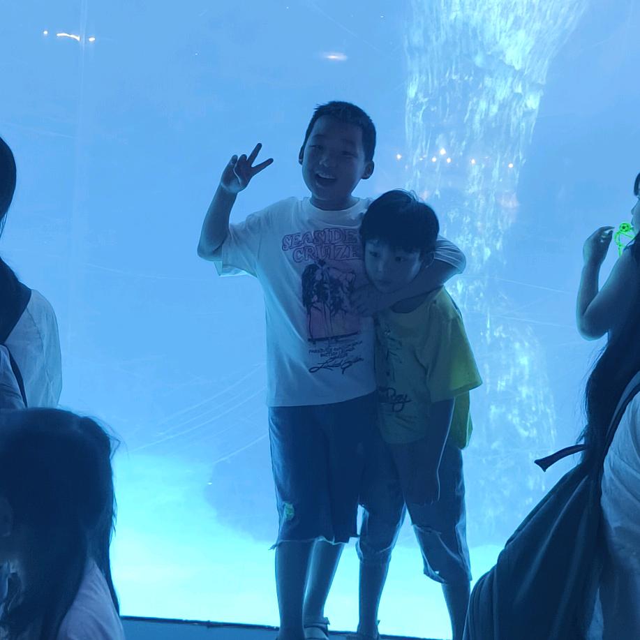 惠惠（带娃中）