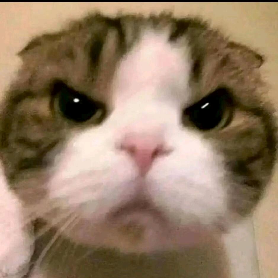 冰球