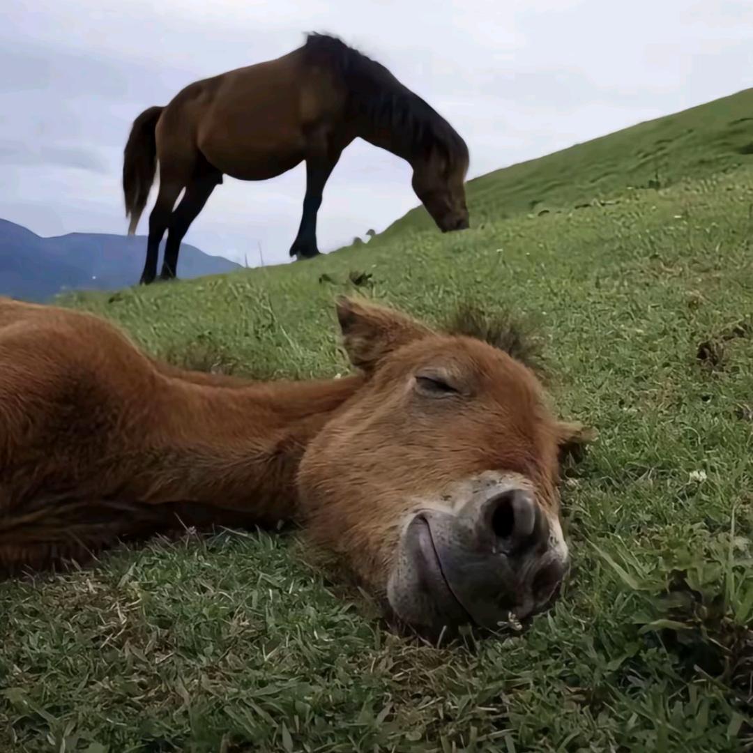 世界第一等