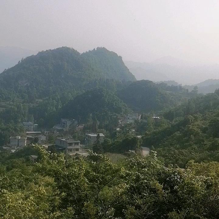 文化
