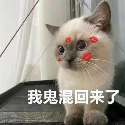 末情