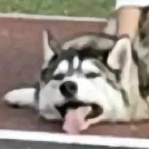 我瞅瞅👀