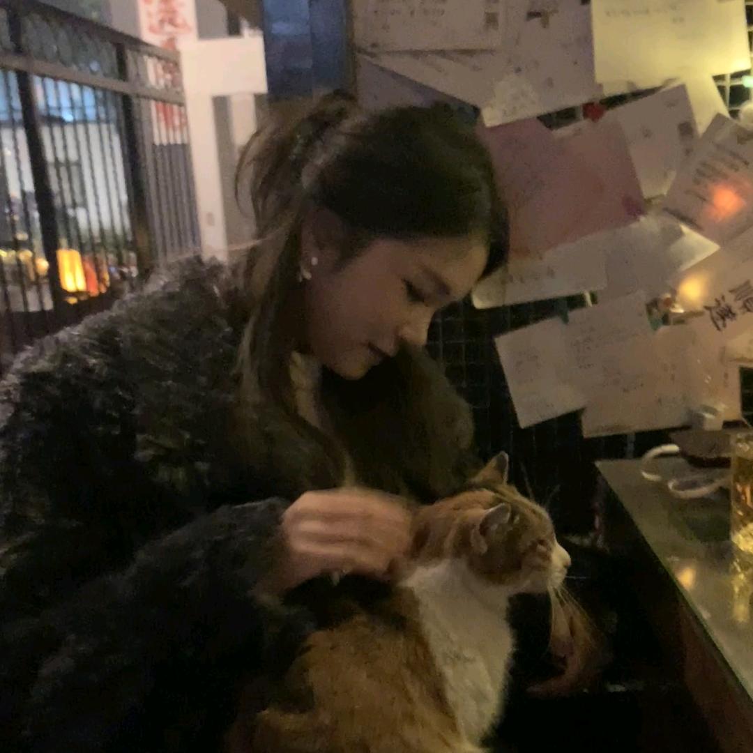 美食都想吃一点