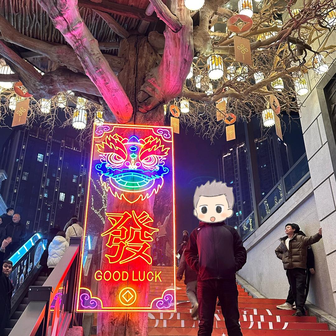 Bo波波波