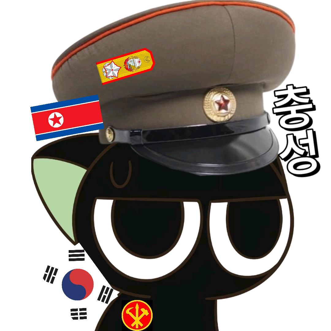 半岛之星