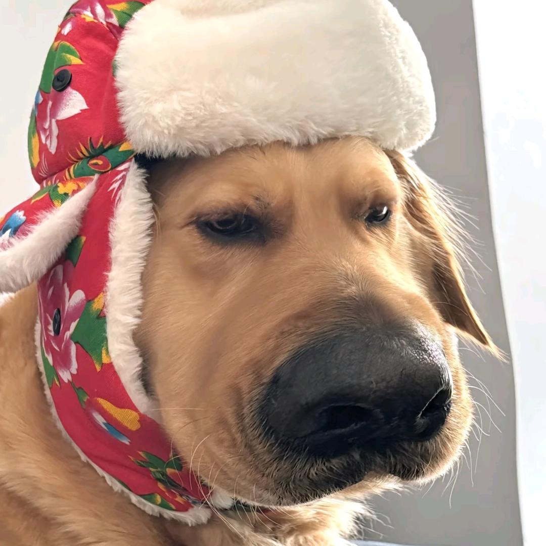 四明山龙胖子侄女🌸