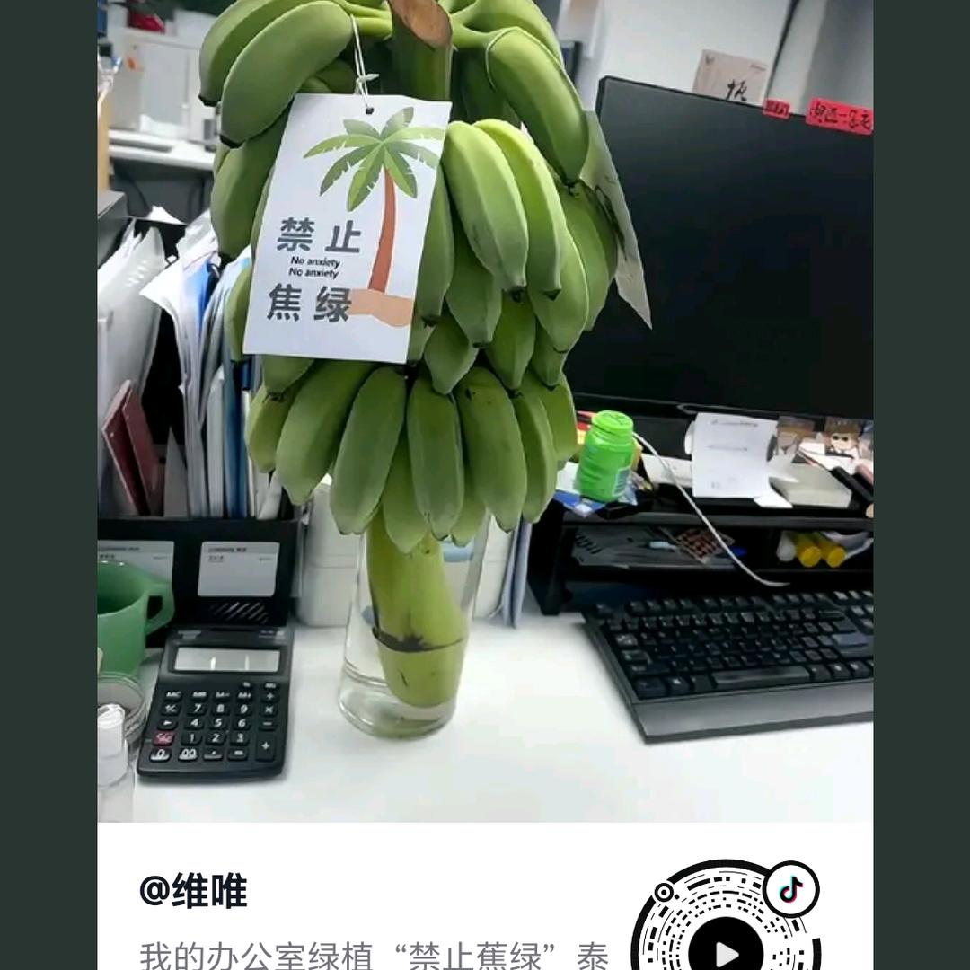 欢迎各位，一起聊聊天