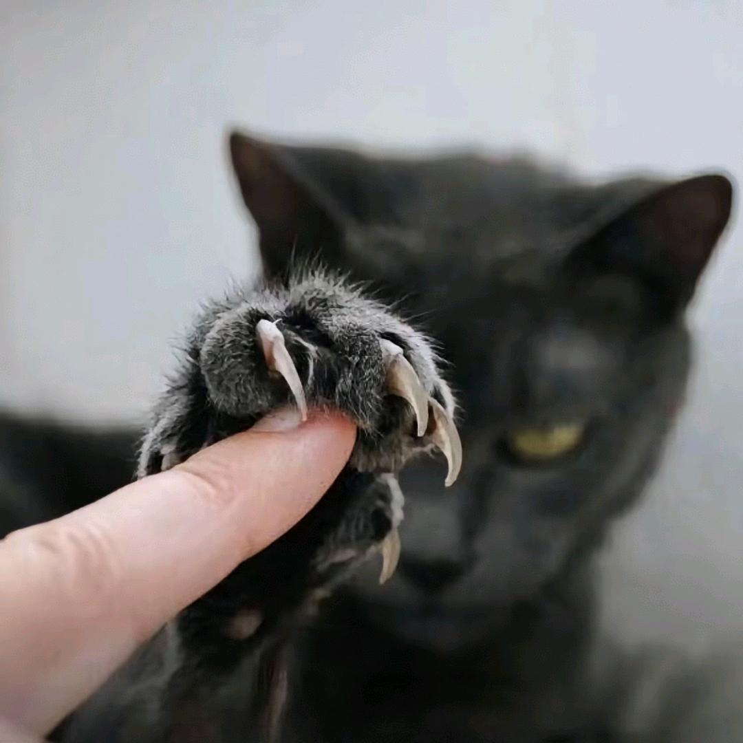 见冬