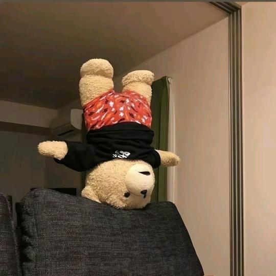 甜崽小熊