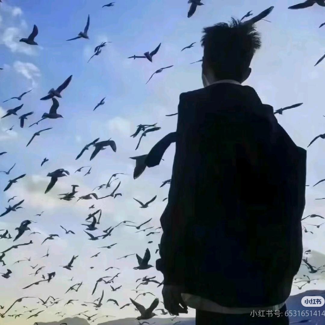 落叶的阔叶林