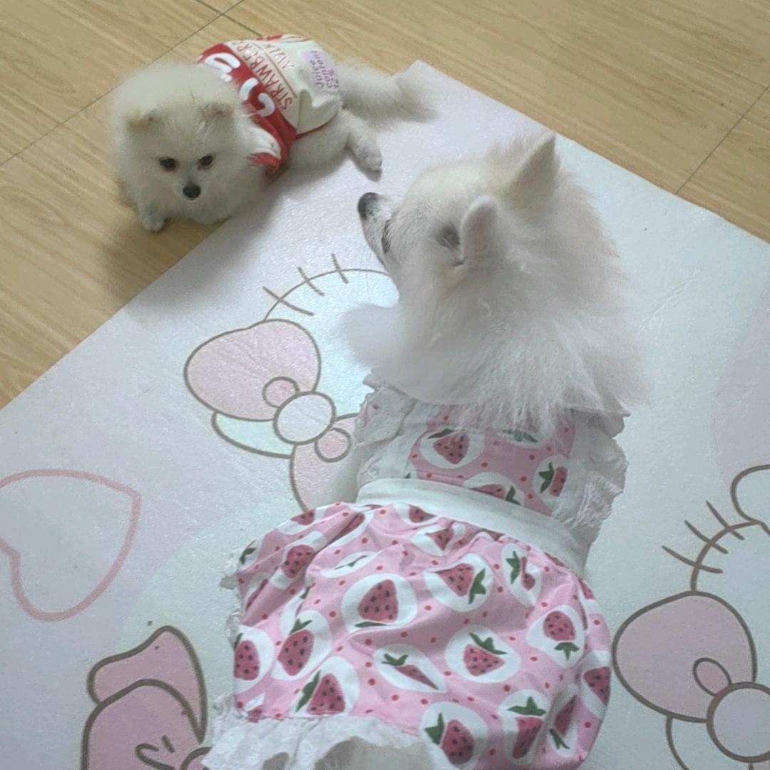 多多妈♥福宝仔♥