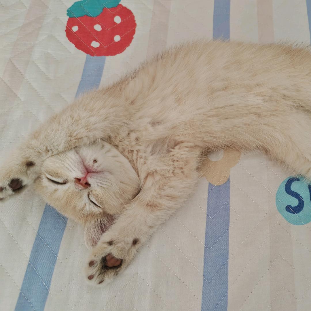 ᴱʳⁱᶜ智慧🇨🇳