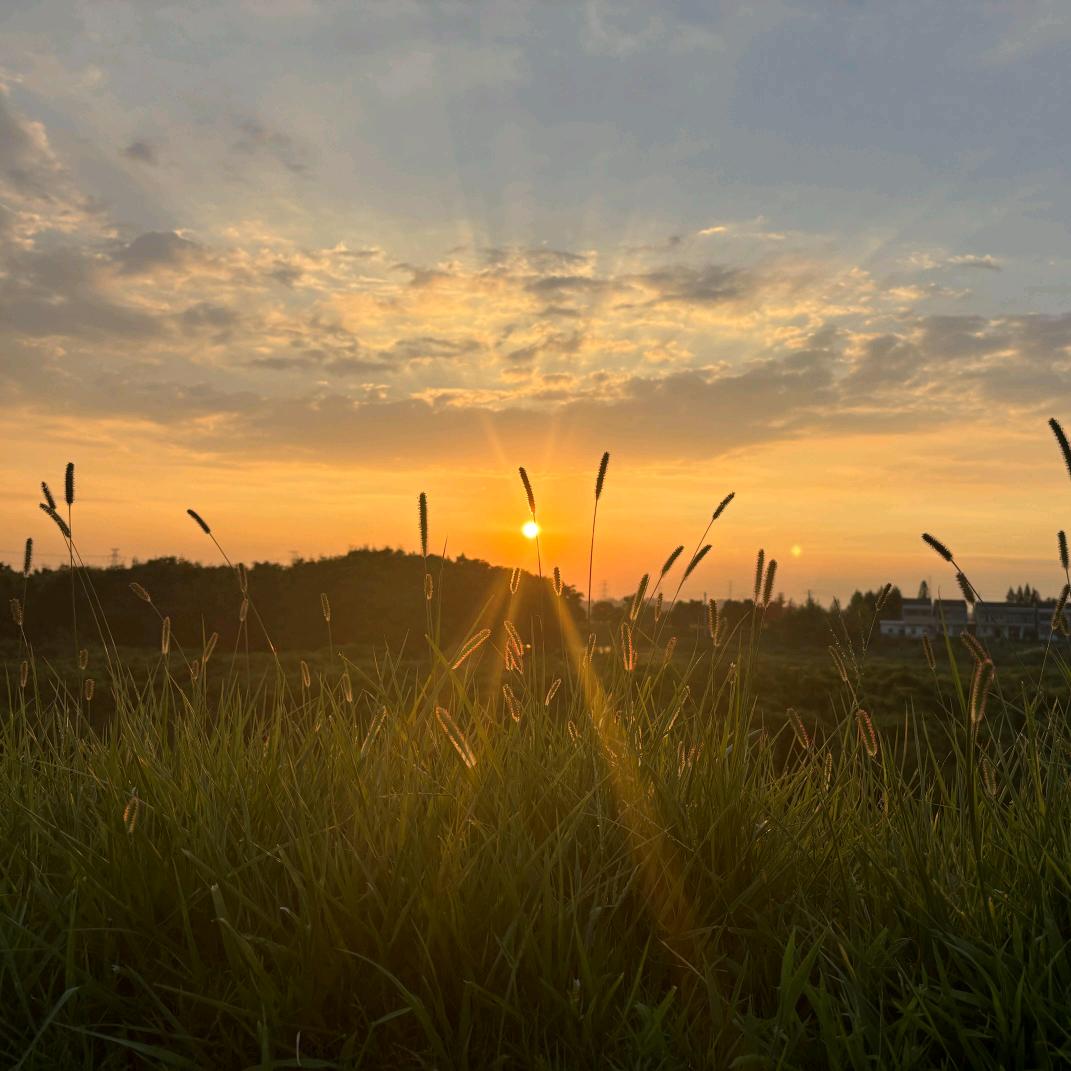 幸福的农村生活
