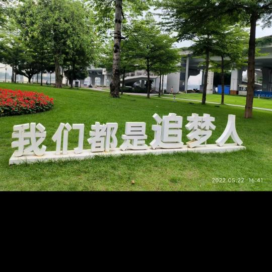 善心