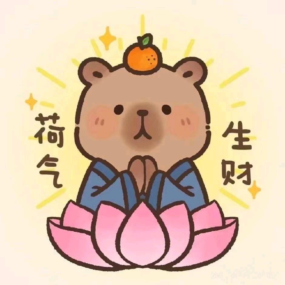 小赵（发财版）