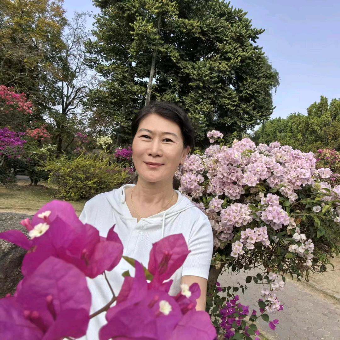 心向阳光