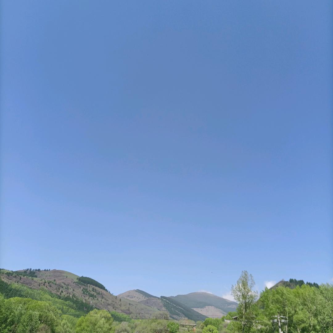用户6213020614019