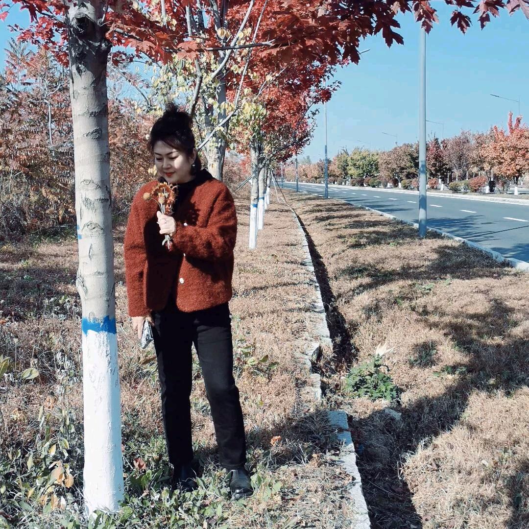 蝴蝶飞舞