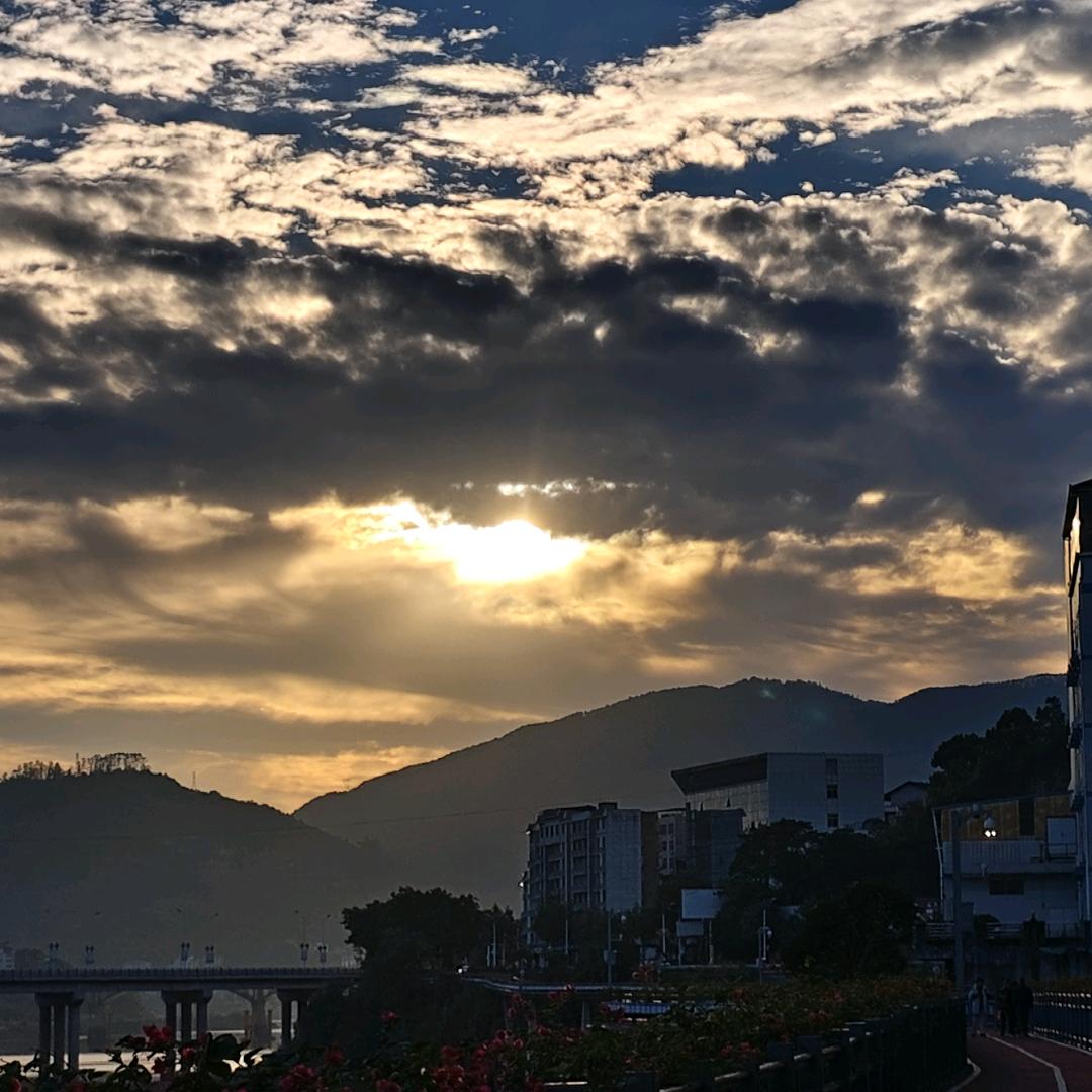 美美（直播返场）