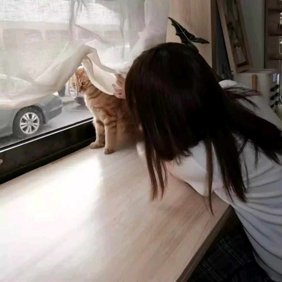 下雨天⁺𓇼 𓂂𓈒