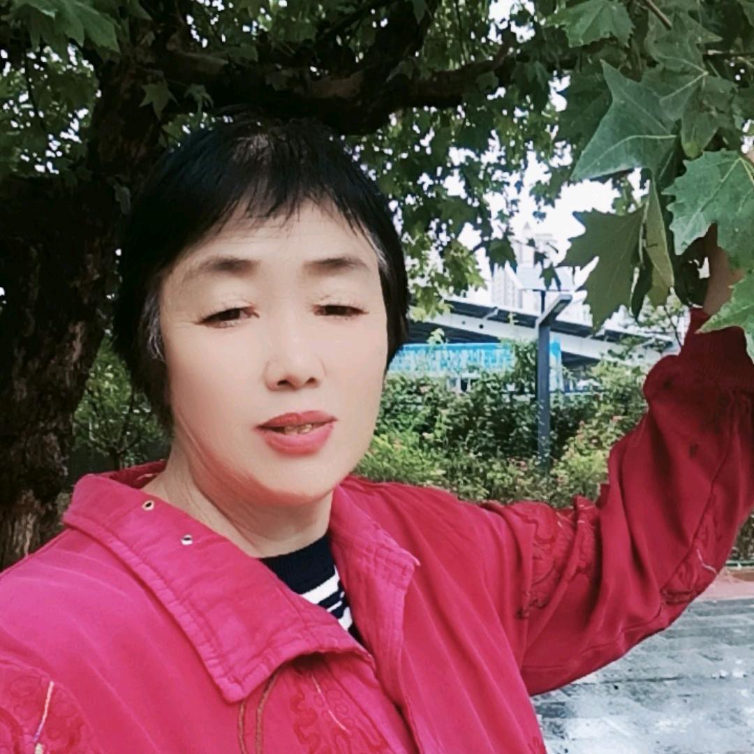 寒雪梅花