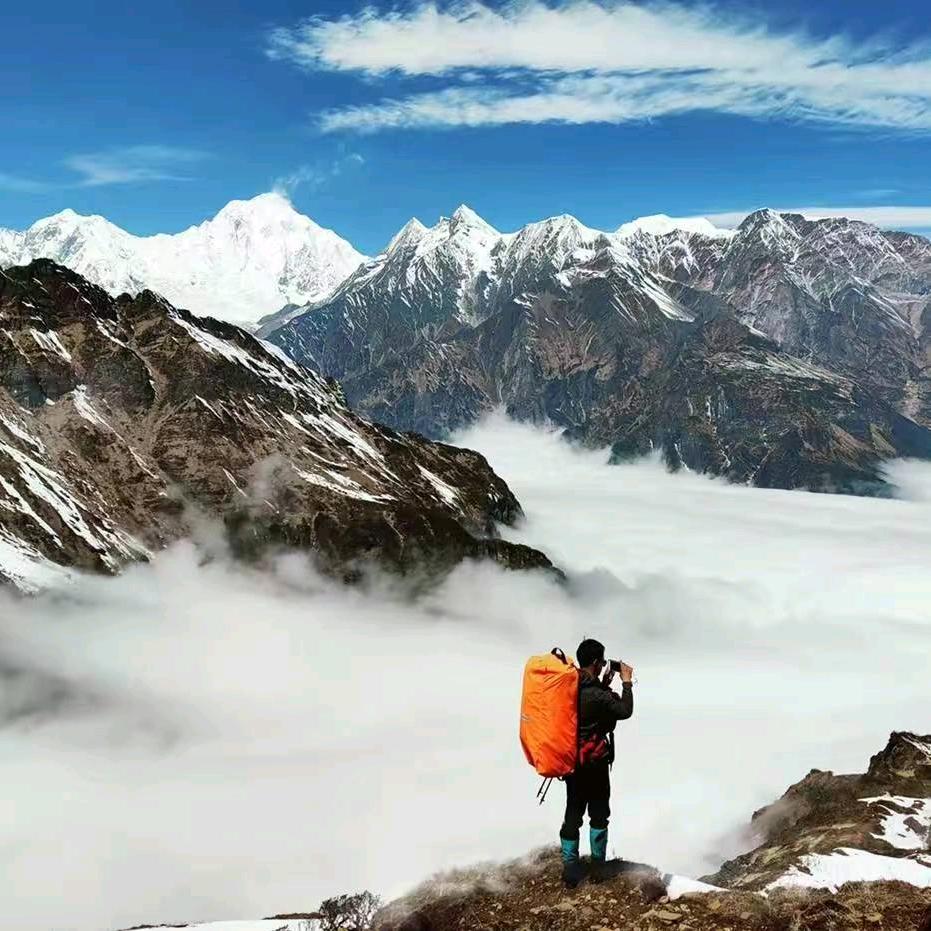 旅行者，海哥。