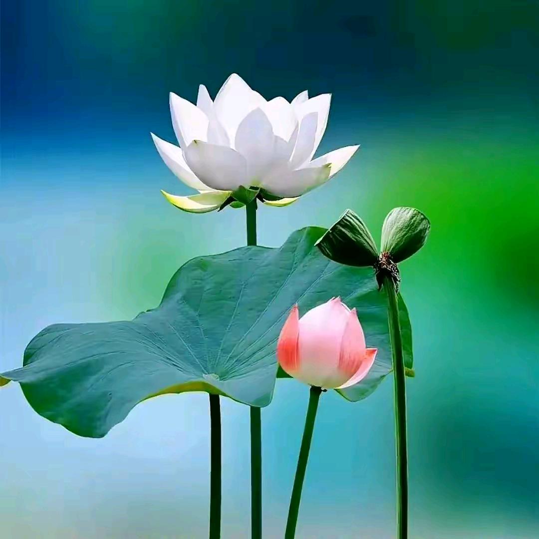 等风来