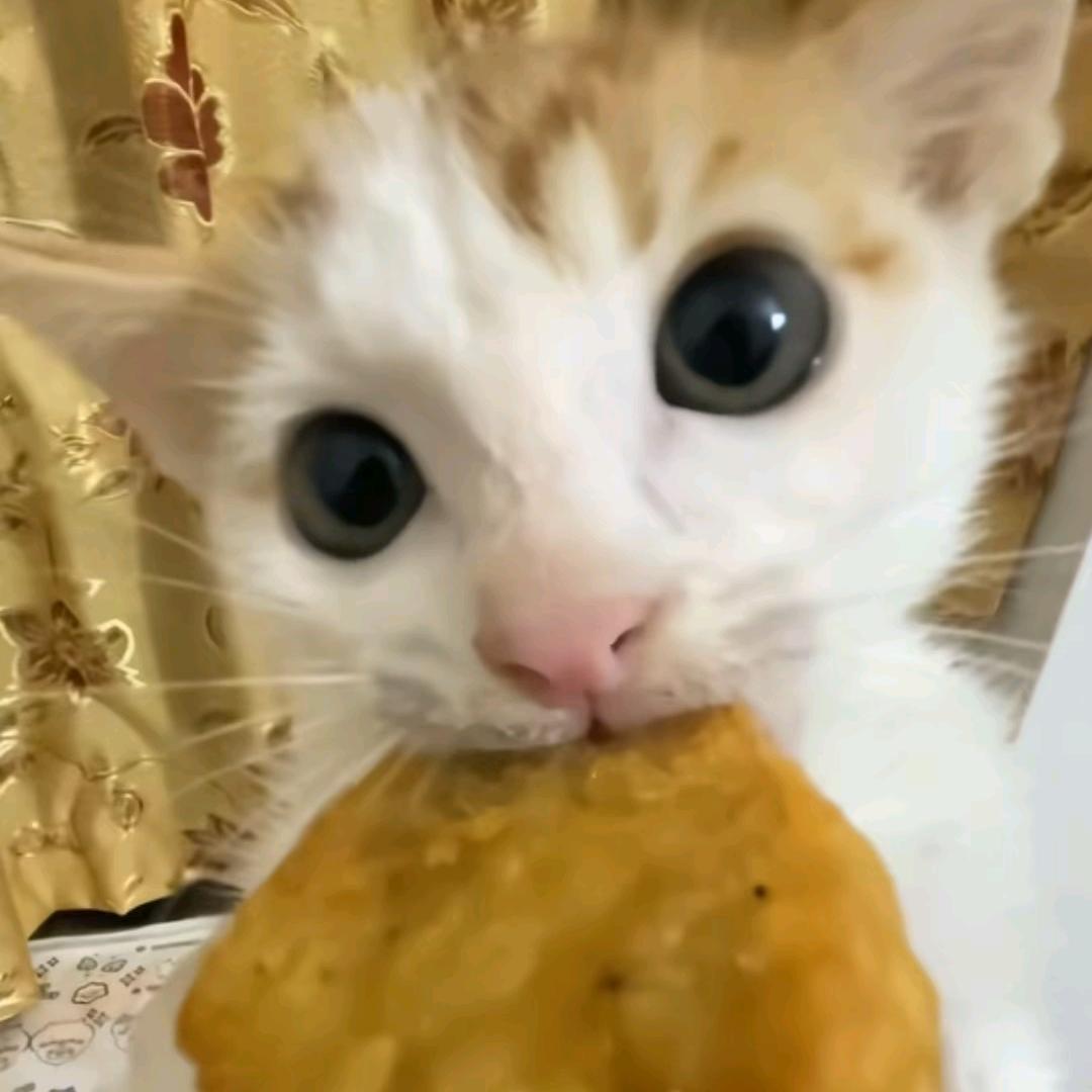 鸡块大王