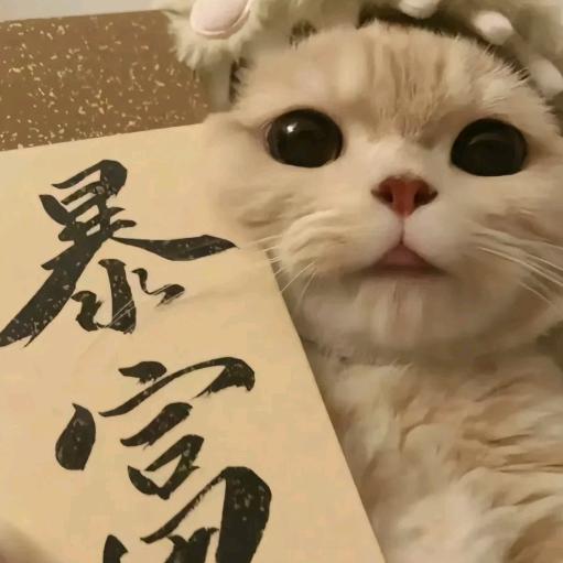 momo-momo